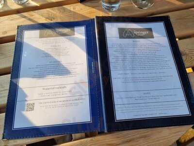 The Springer Spaniel