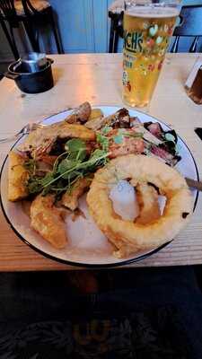 The Springer Spaniel