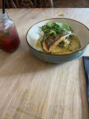 The Springer Spaniel