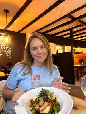 The Springer Spaniel