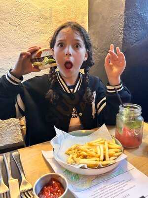 The Springer Spaniel