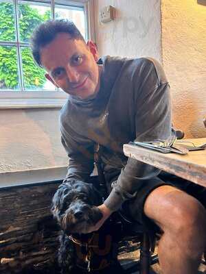 The Springer Spaniel