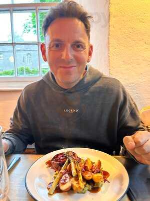 The Springer Spaniel