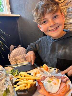 The Springer Spaniel