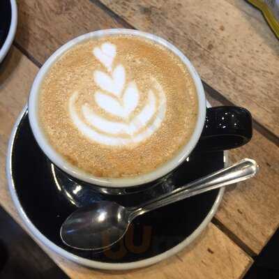 The Winking Turtle Cafe