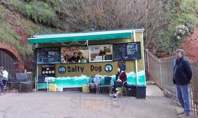 Salty Dog Kiosk