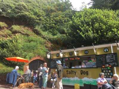 Salty Dog Kiosk