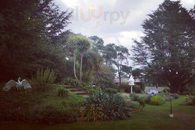 Sprigs Cafe At Jersey Lavender