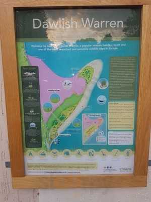 Plenty Of Fish & Chips