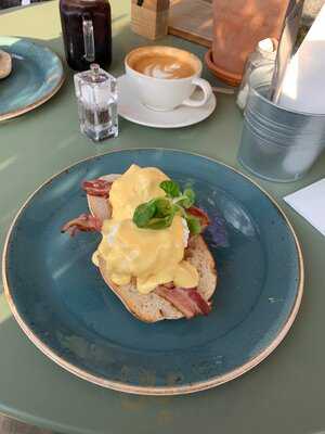 The Quince Tree At Clifton Nurseries