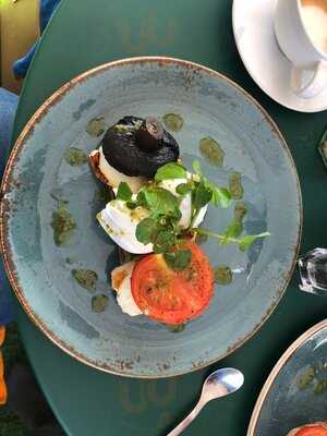 The Quince Tree At Clifton Nurseries