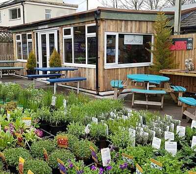 The Willow Tree Cafe