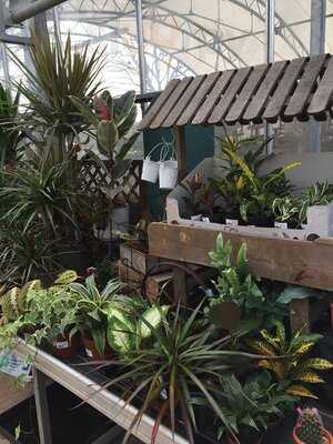 The Potting Shed Cafe