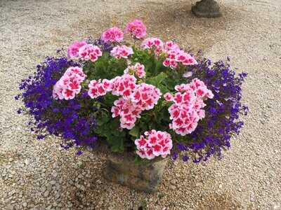 Guyers House Restaurant