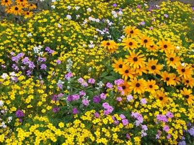 Riverside Cafe At Hall Place