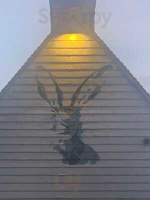 The Extraordinary Hare