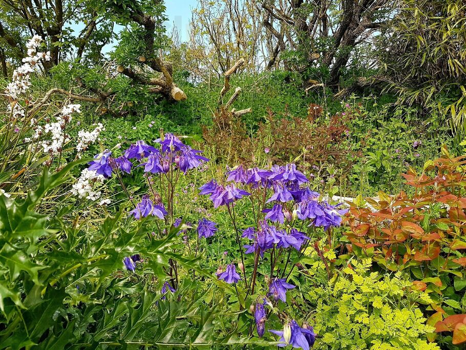 The Perennial Gardens, Cafe And Shop
