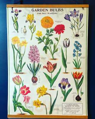 Childrey Village Stores