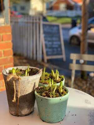 Childrey Village Stores