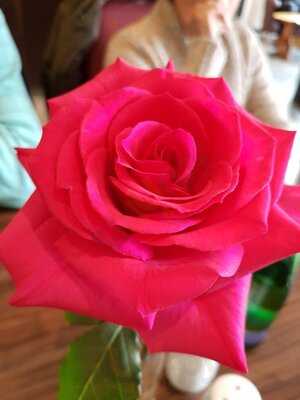 The Park Bistro Linlithgo