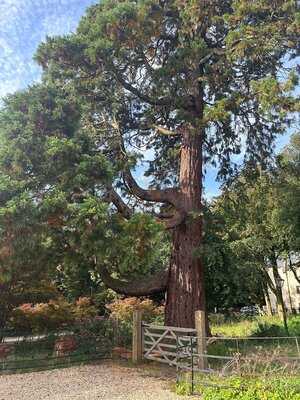 The Rudloe Restaurant