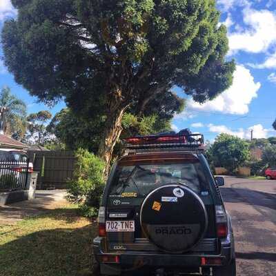 The Best Fry Burdwood