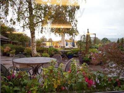 Willowbrook Cafe And Tea Room