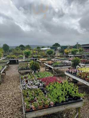 Willowbrook Cafe And Tea Room