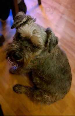 Off The Wall Coffee Shop