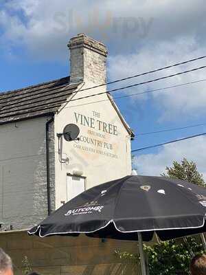 The Vine Tree
