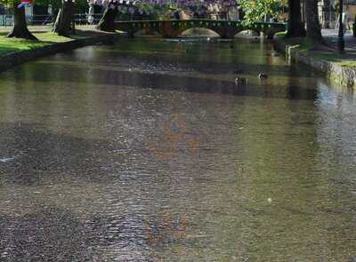 Rose Tree Restaurant