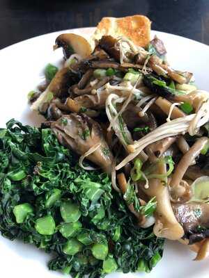 The Old Electric Shop