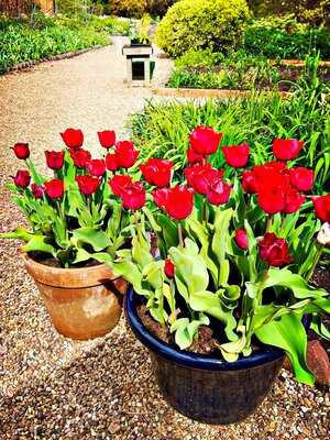 The Garden Cafe At Hillers