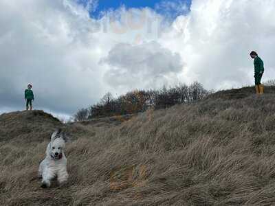 The Mount Inn At Stanton