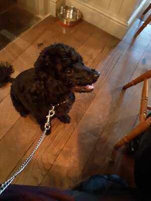 The Howard Arms Hotel