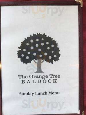 The Orange Tree