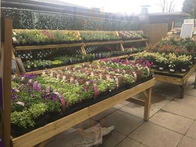 Dobbies Garden Centre Kinross