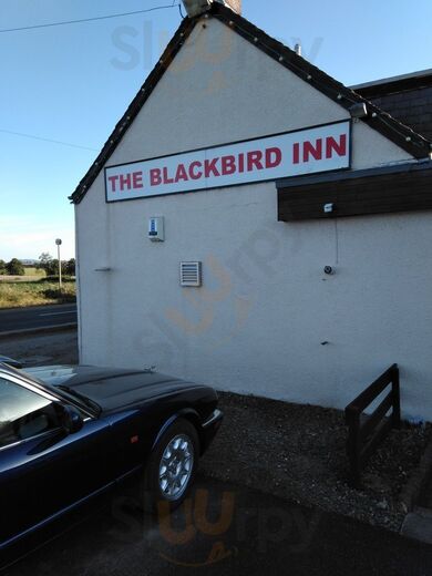 Blackbird Inn