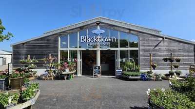 Lake View Restaurant