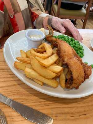 Squires Garden Centres