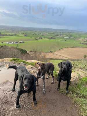 The Lighthouse Bar And Grill