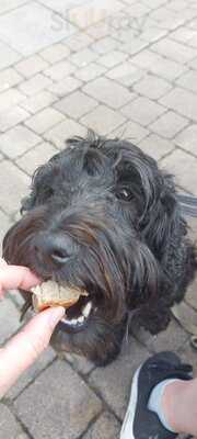 Abbey View Cafe & Bookshop