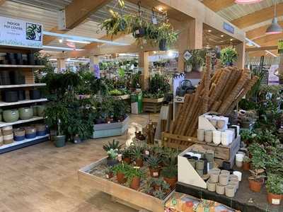 Chessington Garden Centre