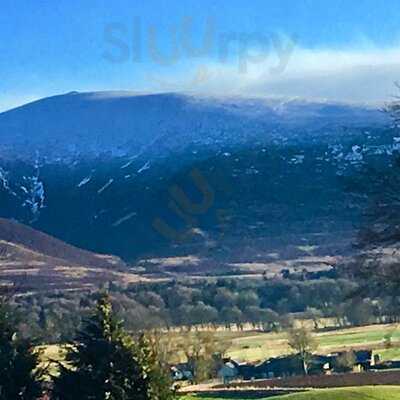 Carmichael Bistro & Tearoom