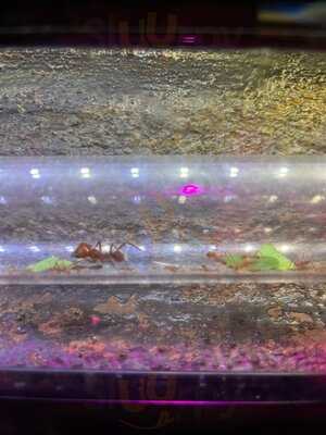 Temple Restaurant And Bar