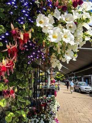 Manns Of Cranleigh Department Store