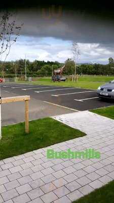 Creative Gardens Bushmills