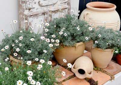 Creative Gardens Bushmills