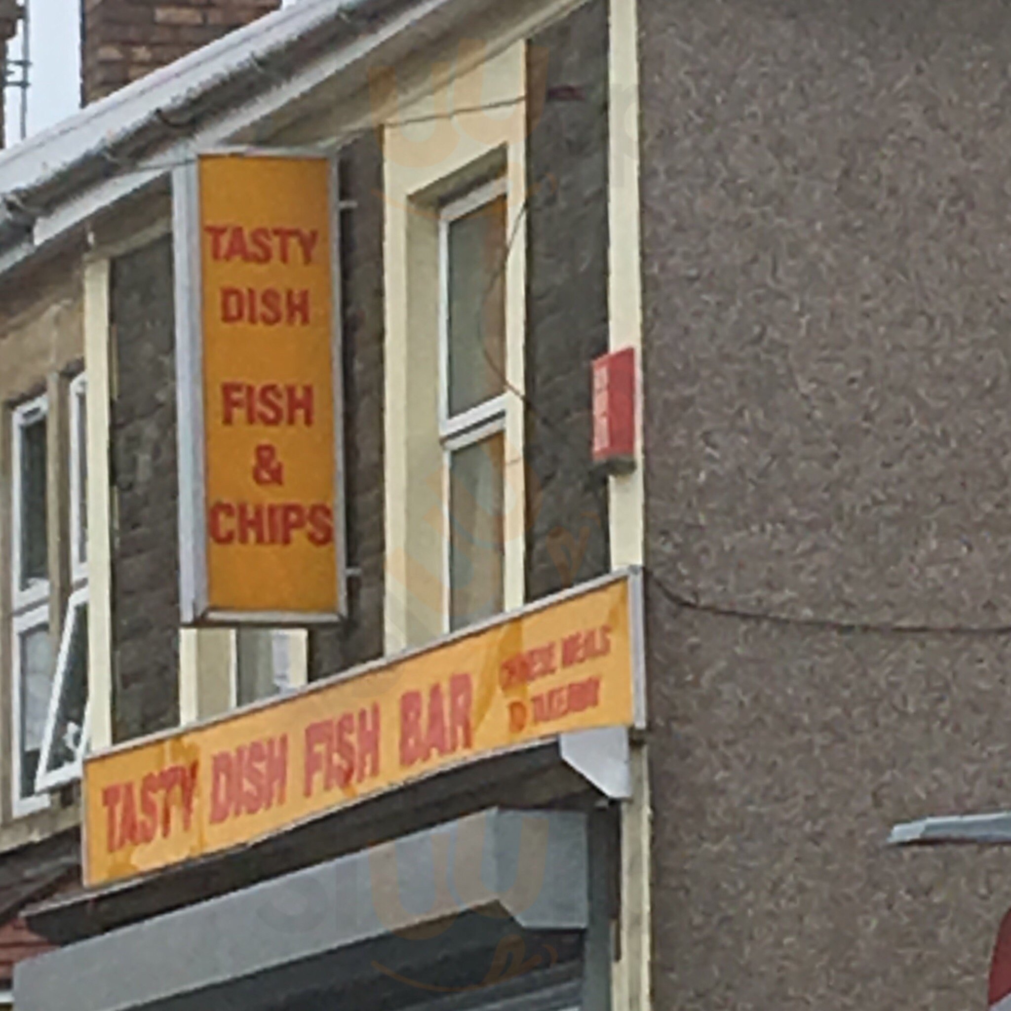 The Tasty Dish