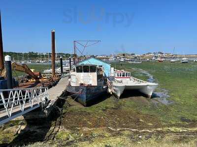 The Best Dressed Crab
